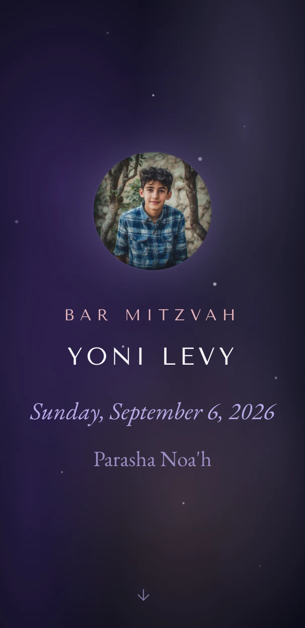Preview of the Nuit Céleste digital invitation template